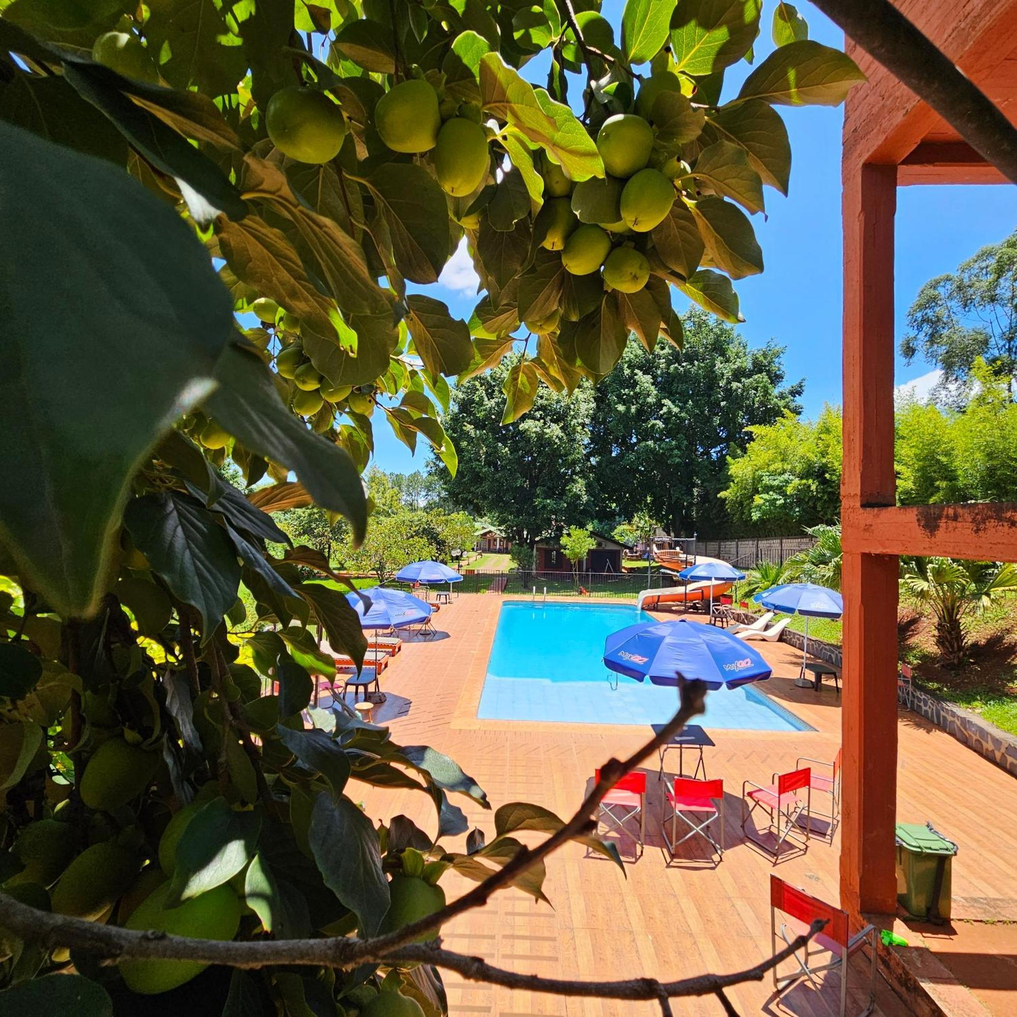 Cabanas El Refugio Del Mensu Пуерто-Іґуасу Екстер'єр фото